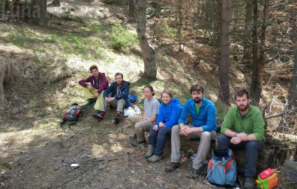 Bassa valle: l’Unione montana assume quattro forestali