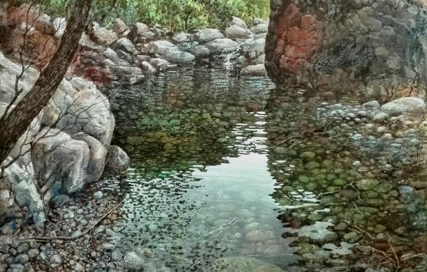 Natura madre: Vinicio Perugia alla Certosa 