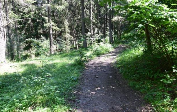 Strada di Pian Cervetto, questa è la volta buona