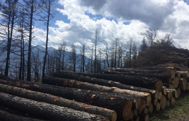 Mompantero: apre la strada, Rocciamelone libero