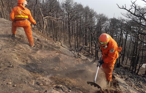 Incendi boschivi: via libera alla nuova legge regionale