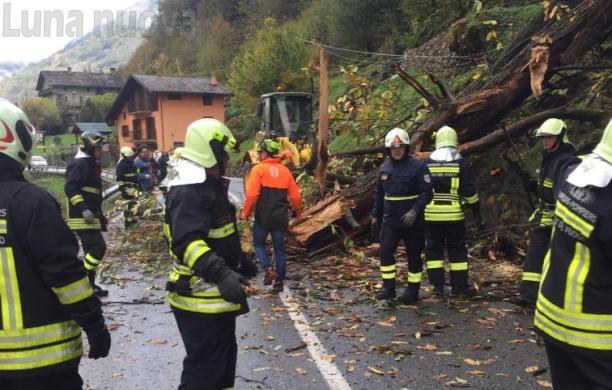 Villarbasse, albero crolla sull'auto: muoiono marito e moglie