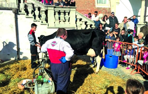 Piossasco. Autunno, la festa torna in piazza