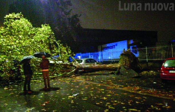 Grugliasco, per l'allerta meteo ora basta un click