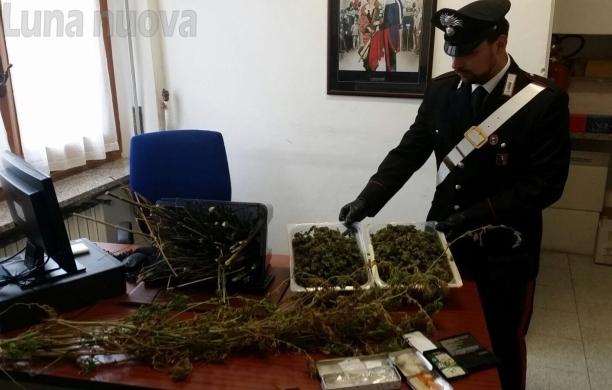 Mattie: aveva due chili di marijuana in casa