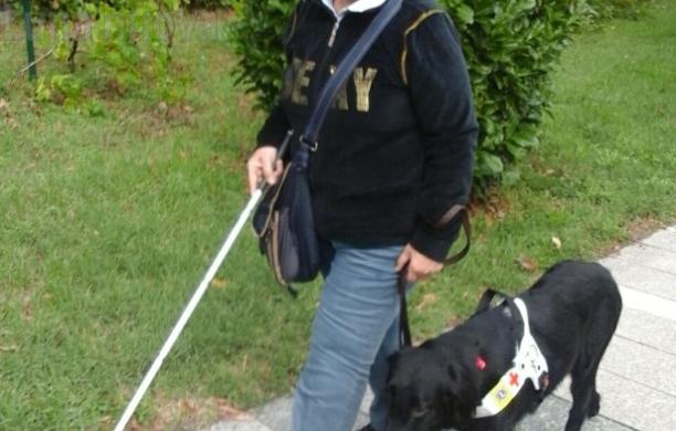Bruino, insultata sul bus per il cane guida: lo sfogo di Loretta