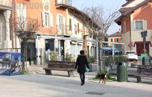 Beinasco, prelievo del Dna e data base canino:  la Città dichiara guerra ai ‘bisognini’