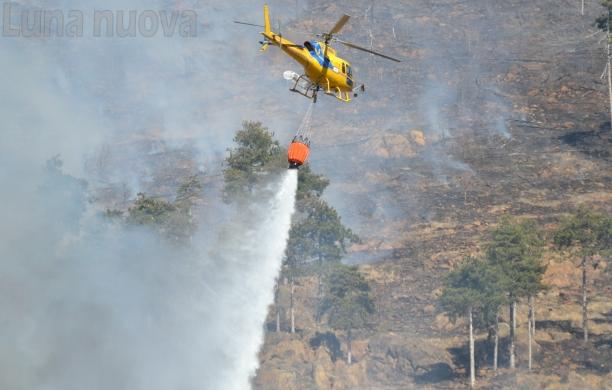 Incendi: è "stato di massima allerta" su tutto il Piemonte