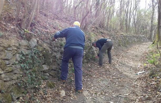 Avigliana, zona di salvaguardia intorno al lago