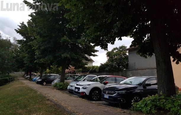 Caselette, via sette tigli per rifare il marciapiede: «Non buttateli giù»