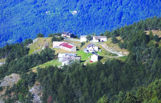 Tornano i bocconi avvelenati sul Rocciamelone