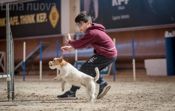 Avigliana, Raffaele: l’‘azzurrino’ di agility dog