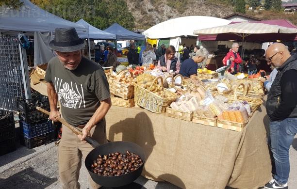 No Tav: Luca Abbà in semilibertà, niente sospensiva