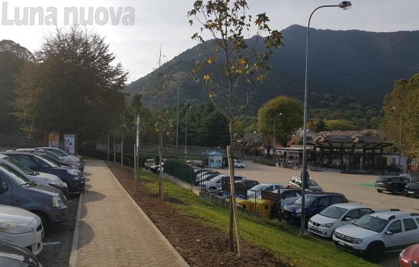 Caselette: piantati i sette alberi al posto dei tigli in Strada Contessa