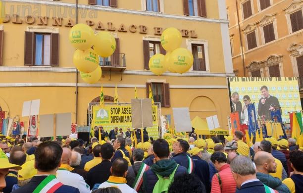 L’emergenza cinghiali invade Montecitorio