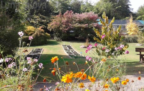Trana, Giardino botanico Rea verso la chiusura? L’ultima spiaggia è il progetto hi-tech