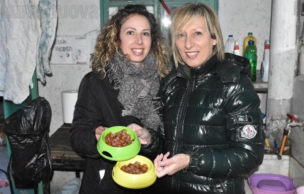 In due anni salvati molti gatti, Nonna Mela adesso chiede aiuto