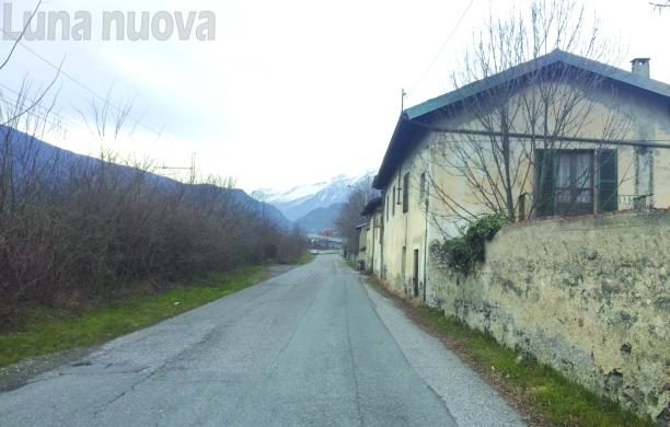 Bocconi killer, tre cani avvelenati a Susa