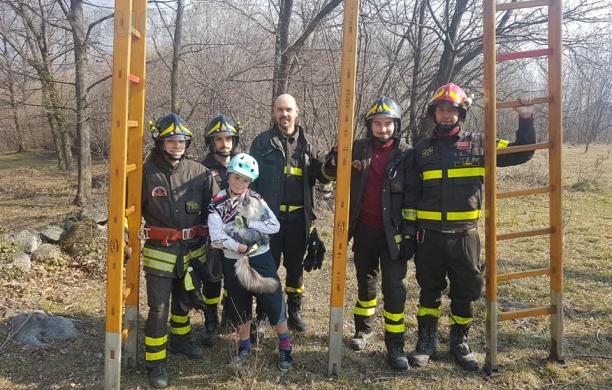 Villarfocchiardo: i vigili del fuoco salvano un gatto su un albero