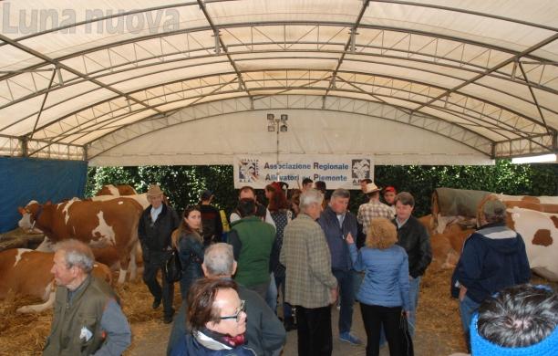 Caselette: salta l'edizione 2020 della Fiera di San Giorgio