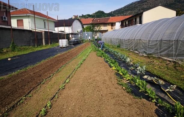 Piossasco, L’Orto del Marchile va a gonfie vele e punta al sociale 