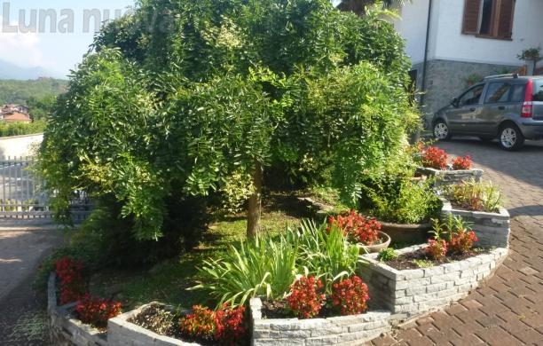 Avigliana, la città a caccia di premi con i fiori