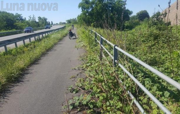 Rivoli, pista ciclabile invasa dalle erbacce: «Per noi disabili un ulteriore scoglio»