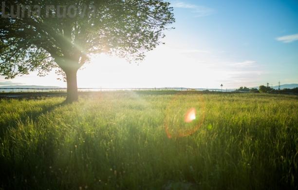 Asl To3: pronto il Piano caldo per l’estate 2020