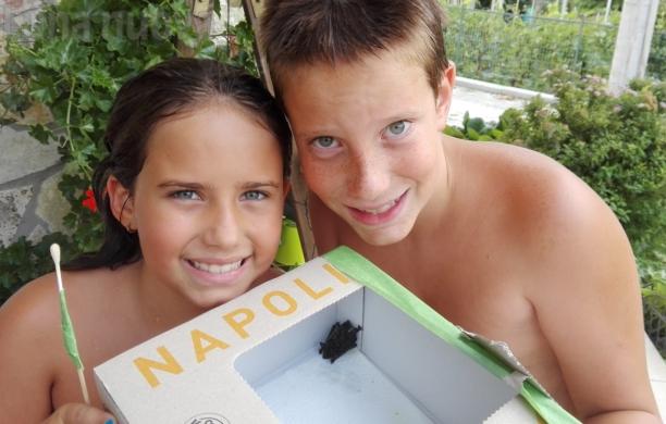 I bambini salvano il pipistrello caduto in piscina