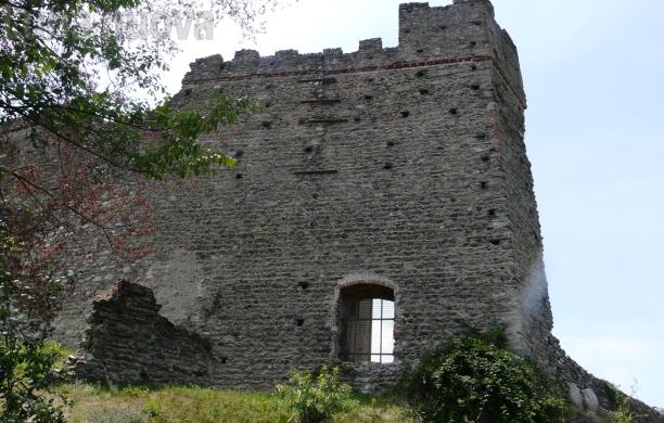 Condove: domenica 2 agosto visite guidate al Castrum Capriarum