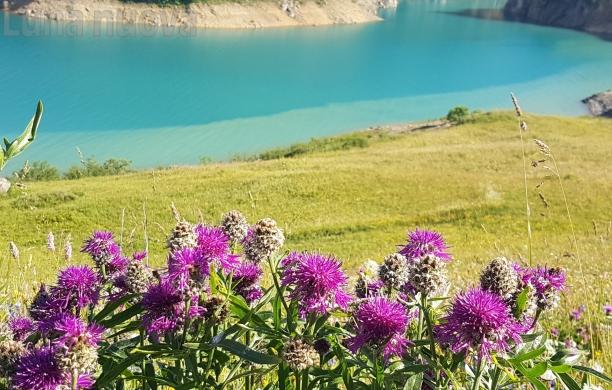 Un agosto vicino a casa: tutti gli appuntamenti dell'estate in valli e cintura