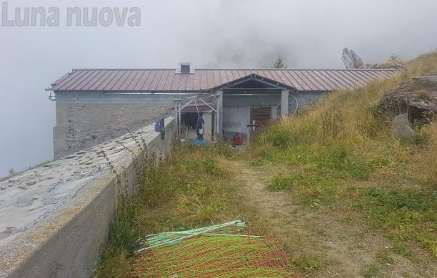 Emergenza lupi sul Rocciamelone: «No abbattimenti, ma aiutateci»