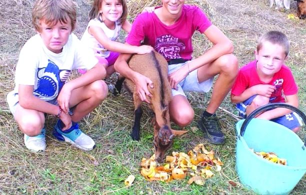 Quattro bambini e una zampa alla Ramats