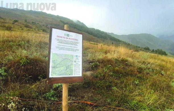 Disturbati da curiosi e fotografi, zona di rispetto fino a metà novembre