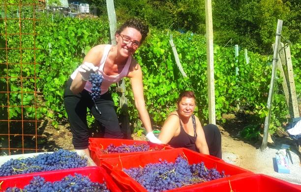 L'Avanà imbocca un nuova strada alla Ramats