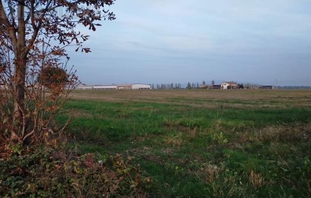 L'area su cui sorgerà il polo logistico