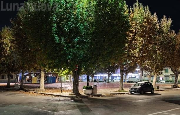 Avigliana, stamattina la ‘Festa dell’albero’ in diretta dal parco