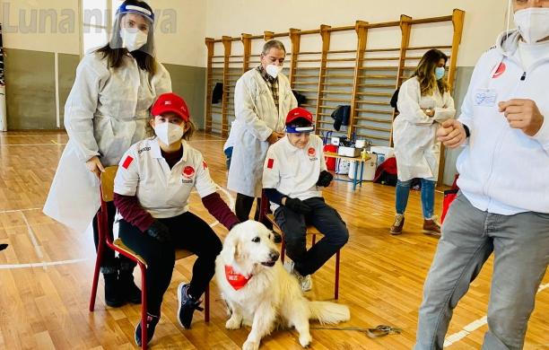 Rivoli, al Romero tre insegnanti a quattro zampe