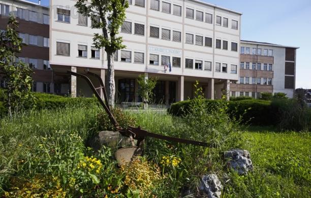 Pianezza, un premio "green" per il Dalmasso