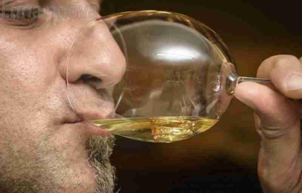 Caselette: l’idromele al sapore di medaglia
