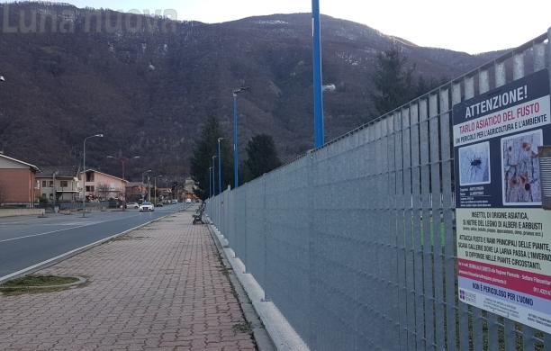 Vaie: il 2021 porta marciapiede e alberata in via Martiri della Libertà