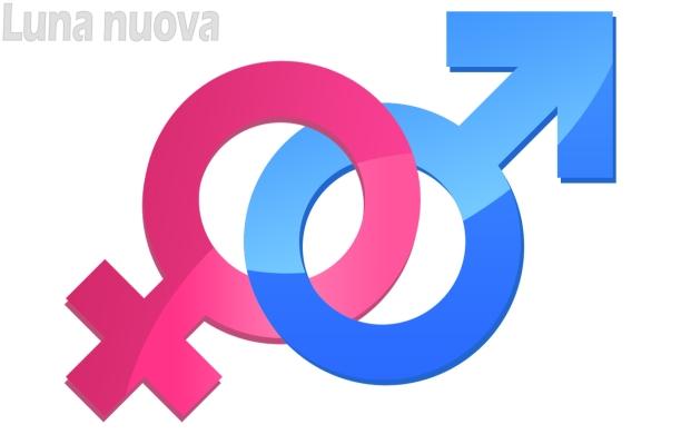 Rivoli, levata di scudi contro la mozione anti gender