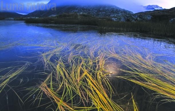 Le alghe lunari del Moncenisio vincono il concorso foto dei Parchi
