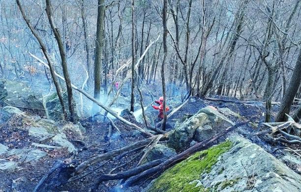 Le fiamme sulla strada del Moncenisio battezzano un weekend di fuoco