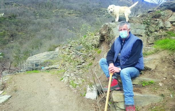 Castagni e olivi,  a Venaus parte la campagna di recupero