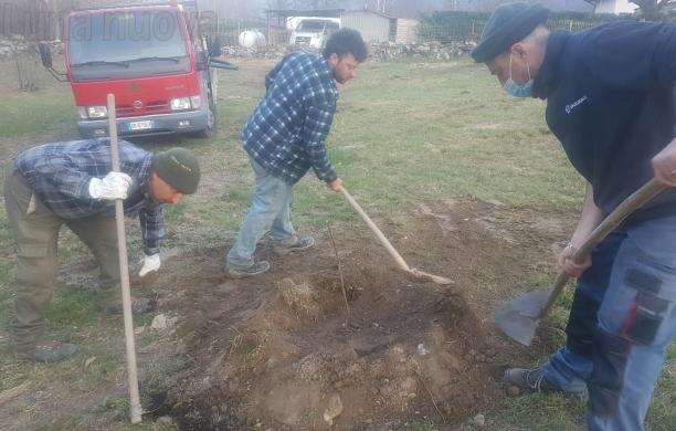 Covid e cinipide, la scommessa senza paura del marrone a Villarfocchiardo
