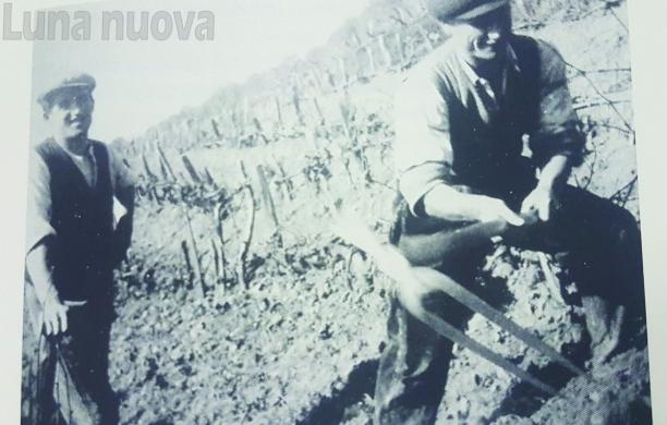 Pavaglione, una semplice storia di montagna