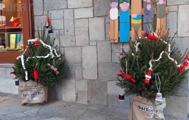 Bardonecchia, gli alberi di Natale Pro loco ritrovano la libertà