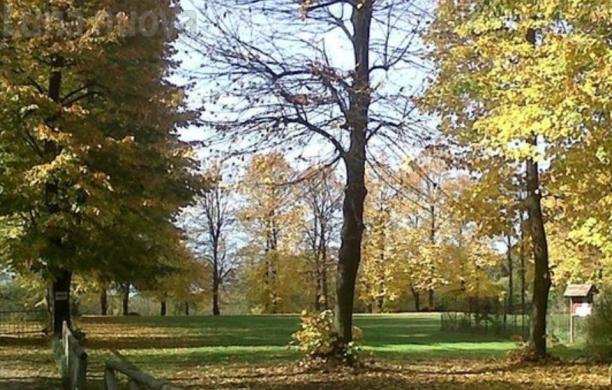 Alpignano, vota parco Bellagarda e fai vincere la Turati