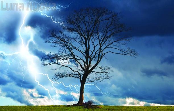 Riscaldamento globale: strategie (e coraggio) anche dagli enti locali